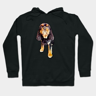 Cavalier King Charles Spaniel Black and Tan Hoodie